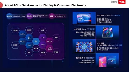 TCL俞大海 半導體工廠的智能化轉型，如何實現千萬級資產投資管理的優化與節省